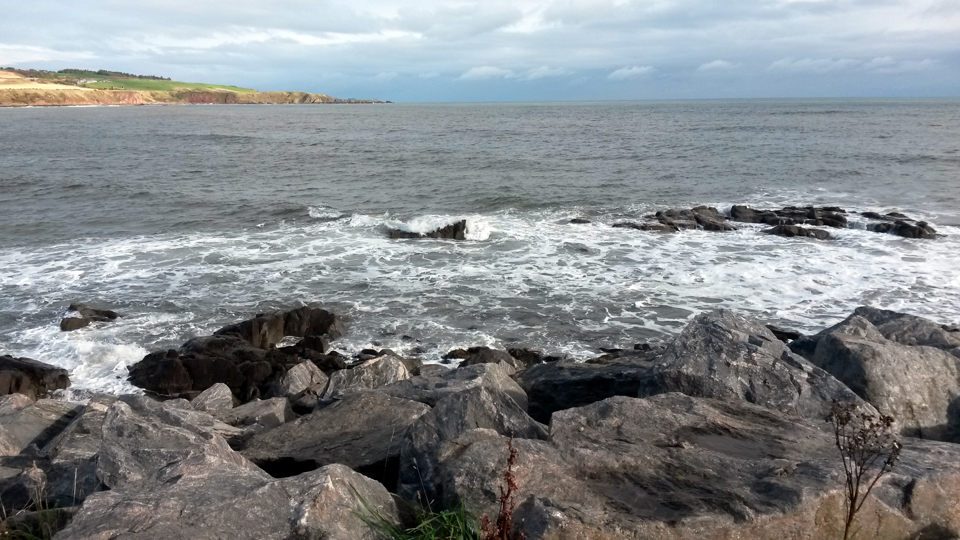 Looking across the bay